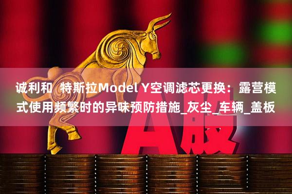 诚利和  特斯拉Model Y空调滤芯更换：露营模式使用频繁时的异味预防措施_灰尘_车辆_盖板
