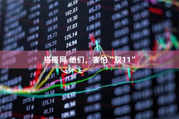 搭搭网 他们，害怕“双11”