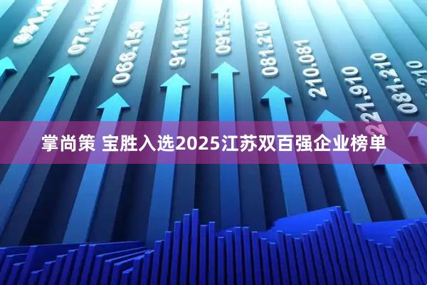 掌尚策 宝胜入选2025江苏双百强企业榜单