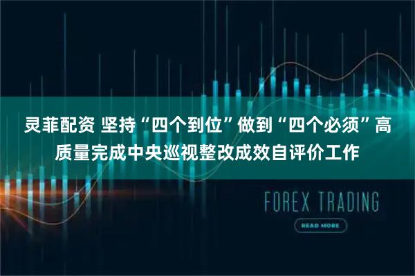 灵菲配资 坚持“四个到位”　做到“四个必须”高质量完成中央巡视整改成效自评价工作